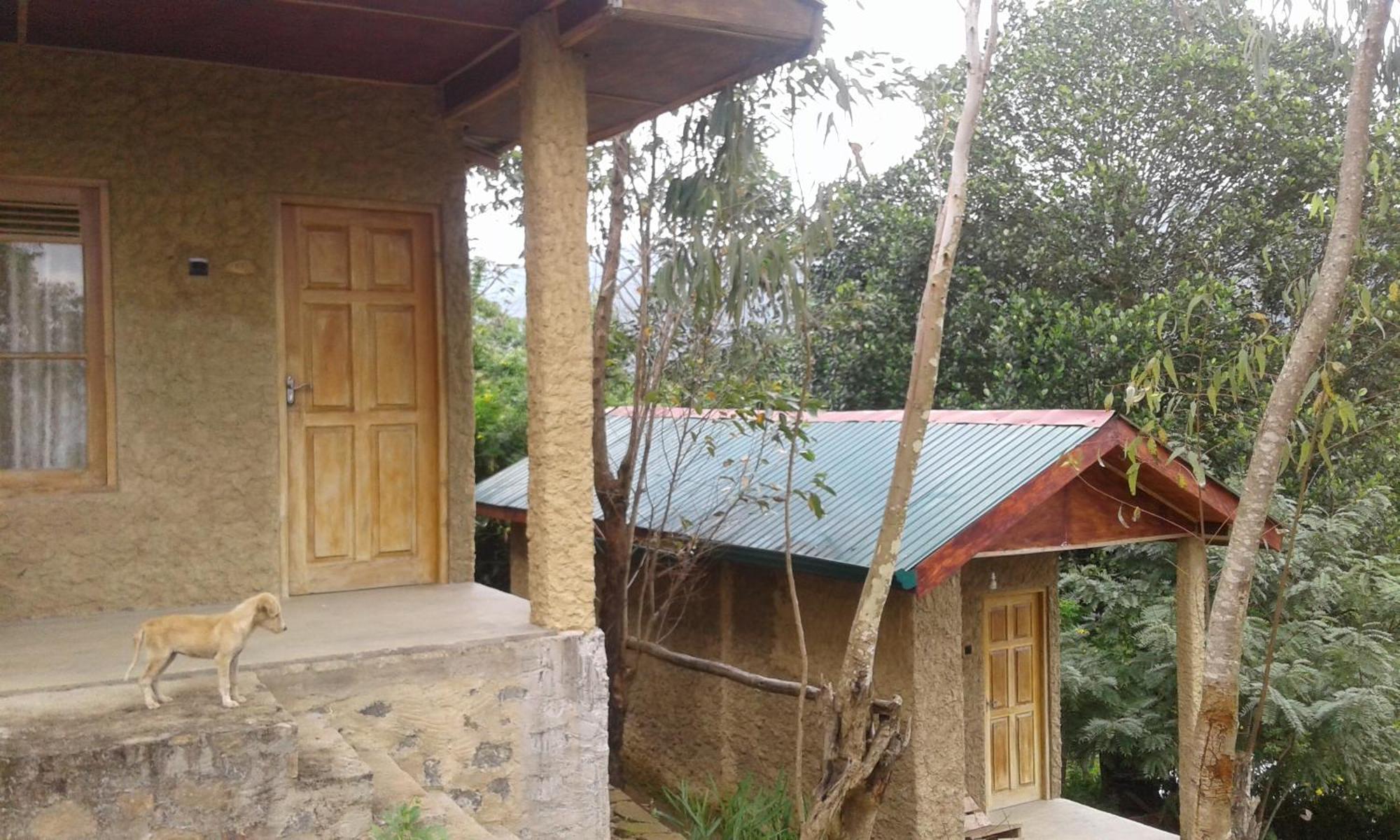 Dew Drop Resort Ела Екстериор снимка